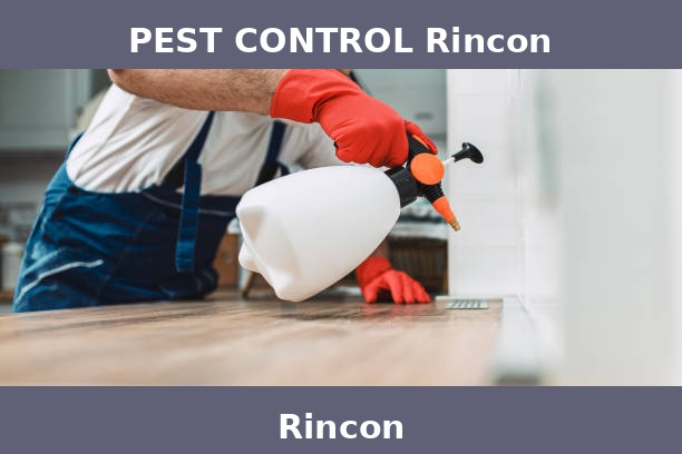 PEST CONTROL Rincon